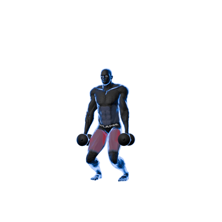 Dumbbell Squat