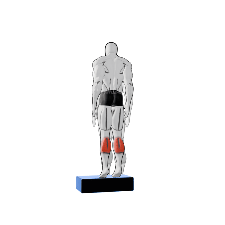Bodyweight Standing Calf Raise