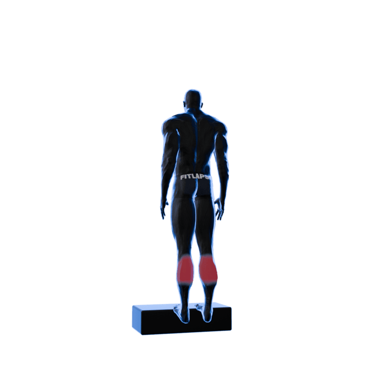 Bodyweight Standing Calf Raise