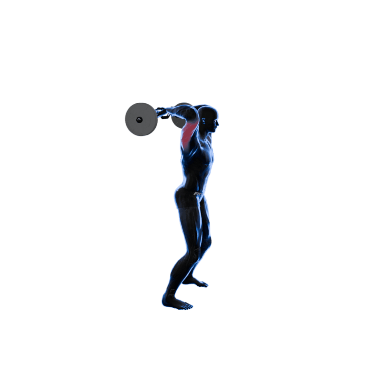 Standing EZ-Bar Overhead Triceps Extension