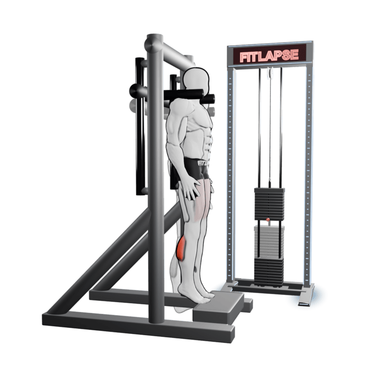 Machine Standing Calf Raise