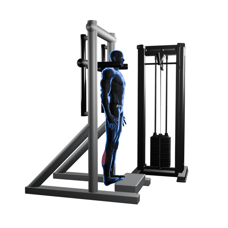 Machine Standing Calf Raise