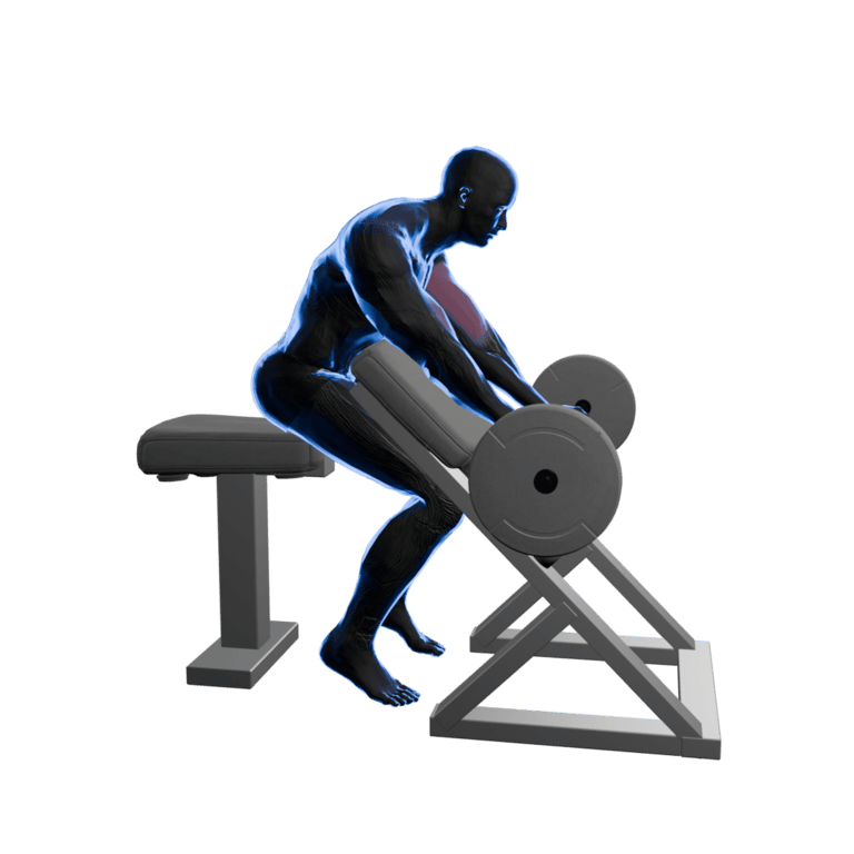 Barbell Preacher Curl