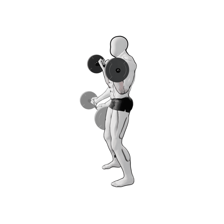 EZ-Bar Curl