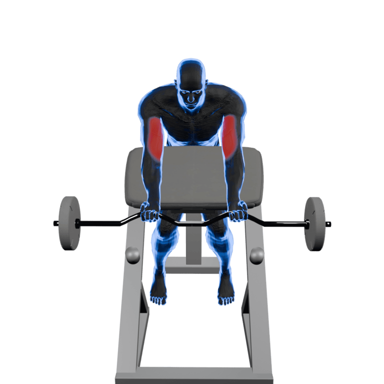 EZ-Bar Preacher Curl