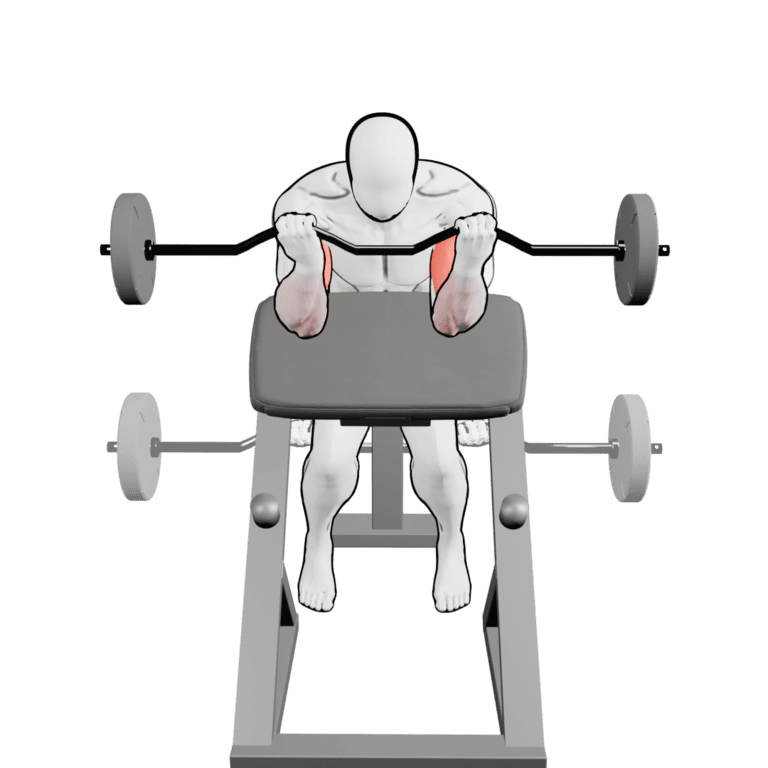 EZ-Bar Preacher Curl