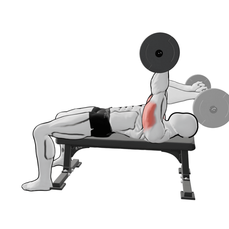 EZ-Bar Triceps Extension