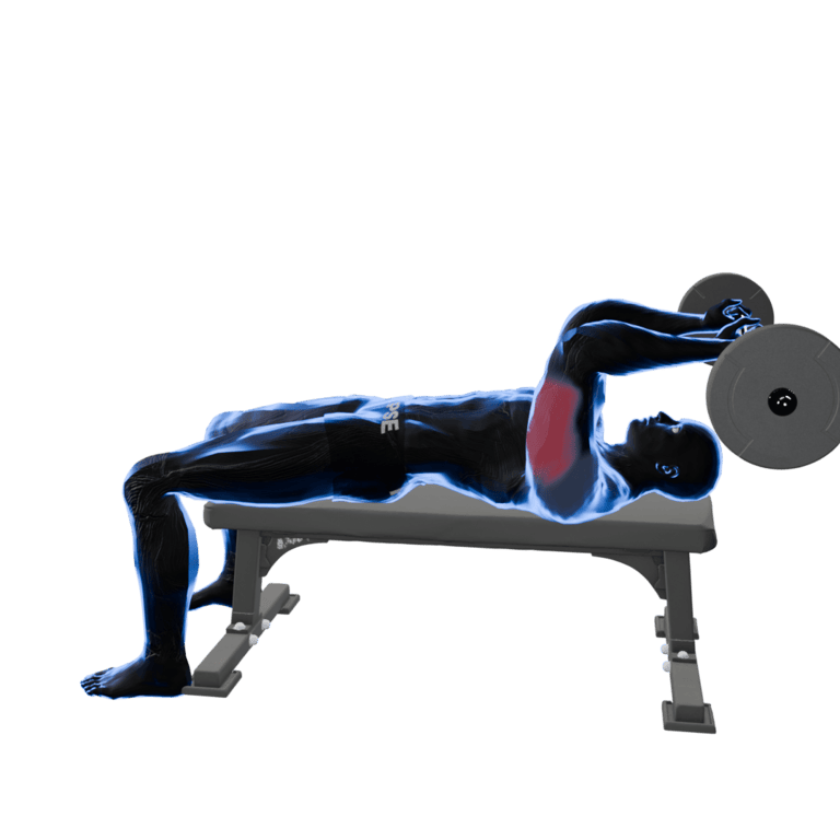 EZ-Bar Triceps Extension