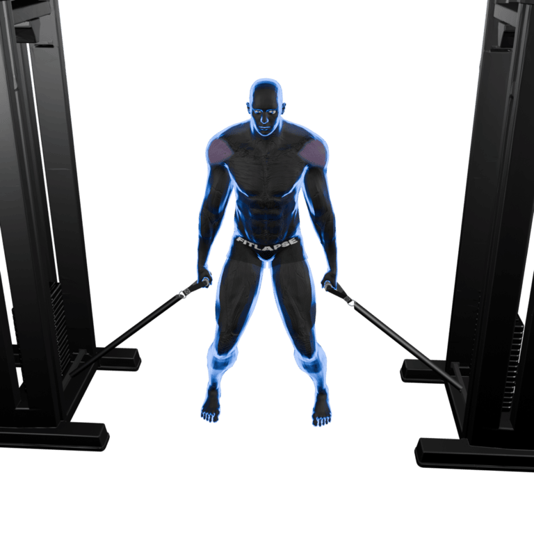 Two-Arm Cable Lateral Raise